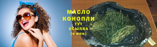 твердый Горняк