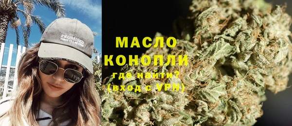 твердый Горняк