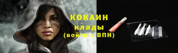 твердый Горняк