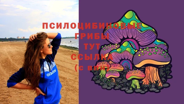 твердый Горняк