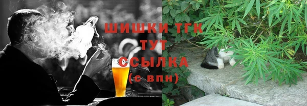 твердый Горняк